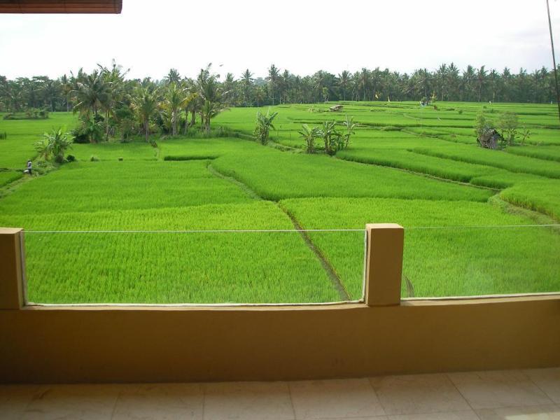 Green Field Hotel And Bungalow Ubud  Exterior photo